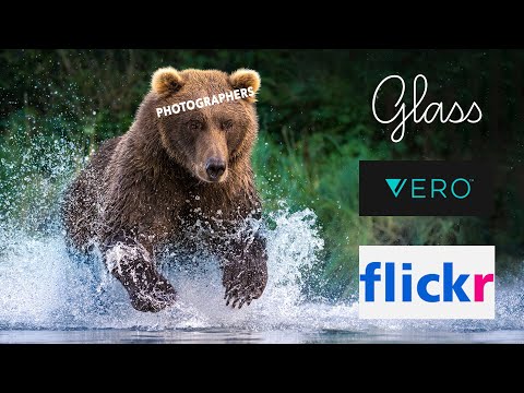 Instagram Exodus to Vero or Glass or Flickr? Does it even matter?