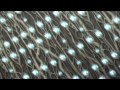 [Sword Art Online (SAO) AMV] - I Will Return 