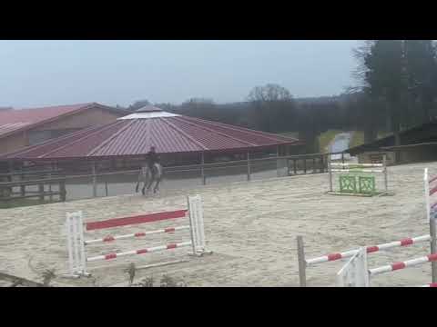 Bahikali du Vercol (Mylord Carthago x Diamant de Semilly)