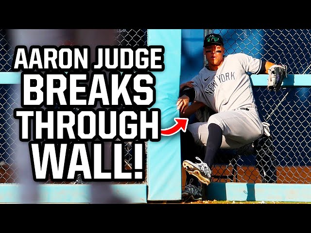 Aaron Judge breaks the wall while making a great catch, a breakdown