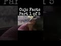 Cujo Facts 1 Of 5 Cujo Stephenking Horrormovie Horror