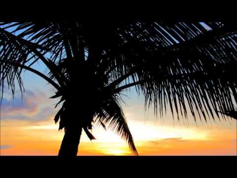 Sigfrid Karg Elert - 30 Caprices op. 107, No 2: Un poco mosso, ma non brillante for Flute solo