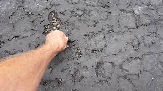 Home Depot vs. Menards Driveway Coating 1 year later