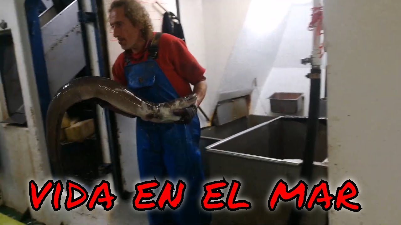 MI VIAJE EN EL BARCO DE PESCA ARIN