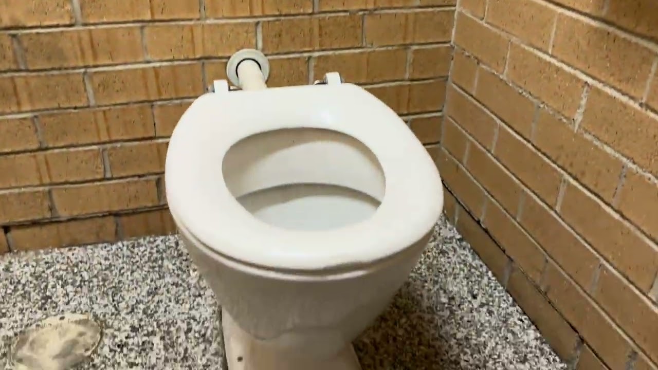 [537] Wollongong Foreshore Public Toilets: Disabled: X1 2019 Caroma Concorde Concealed Trap