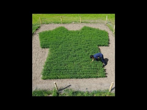 (Free) PARTYNEXTDOOR x Bryson Tiller Type Beat "Playa"