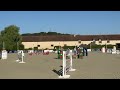 Le cheval qui donne confiance : Lovely Boy AD