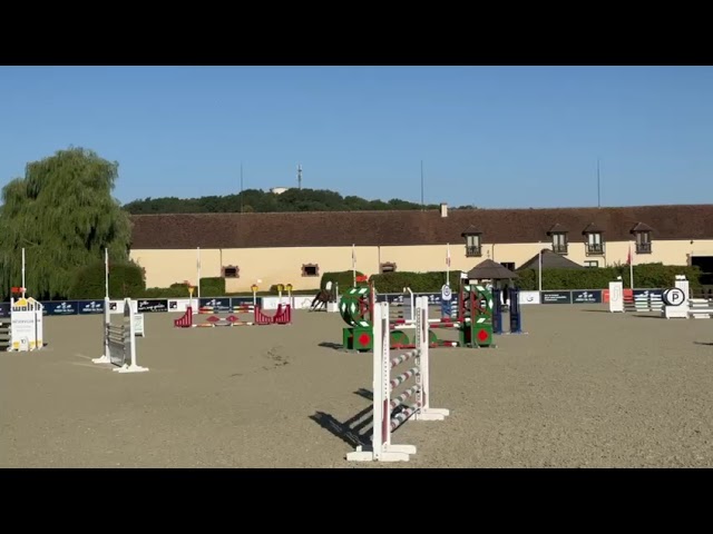 Le cheval qui donne confiance : Lovely Boy AD