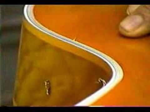 Jimmy Foster Performer 7-String Custom image 15