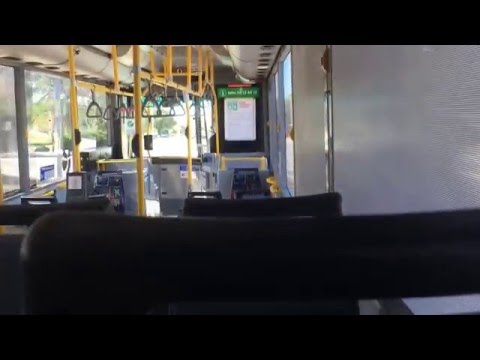 Transperth TP1734 Mercedes Benz O405NH (Voith) (Part Two)