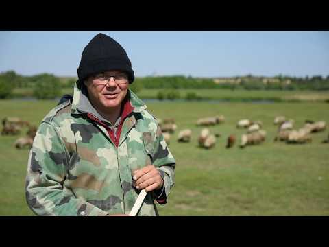 Sa OVČARSKIM ŠTAPOM kroz ŽIVOT