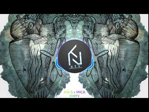 WILSON - VALIDE(AVI S x MICA)