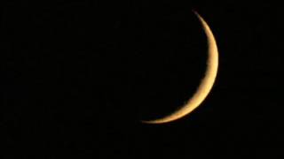 Cybotron - El Salvador