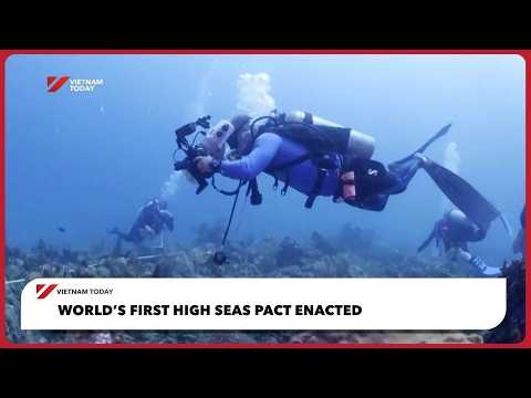 世界初、公海協定が発効 | ベトナム・トゥデイ (World’s first high seas pact enacted | Vietnam Today)