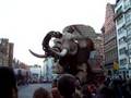 Sultan S Elephant