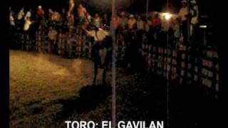 preview picture of video 'TORO: EL GAVILÁN'