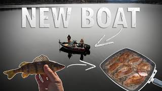 Fresh Yellow Perch ROE with the NEW BOAT! (Catch Clean Cook) ft. North West Outdoor Adventures