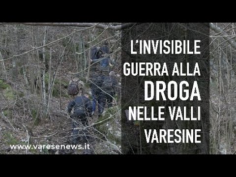 L’invisibile lotta alla droga nella valli di montagna