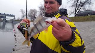 Bellezza glabs 602 sxul graphiteleader