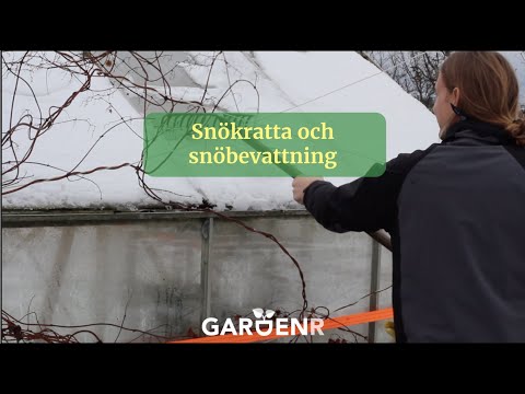 Snökratta och snövattning - Trädgårdshacks med GardenR