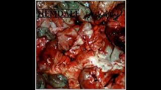 Hemdale &amp; Exhumed  -  In The Name Of Gore (Full Split) 1996