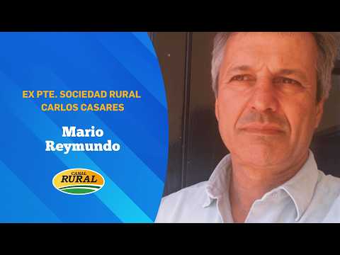 Buenos Aires: el 100% de los caminos rurales de Carlos Casares está en mal estado