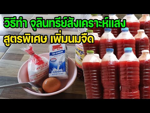 วิธีทำจุลินทรีย์สังเคราะห์แสง สูตรพิเศษ เพิ่มนมจืด ช่วยทำให้ได้สีแดงสวย ต่ายHunberryz.