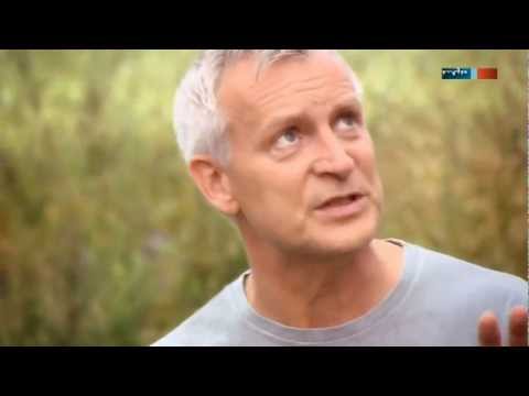 Dirk Michaelis - Feld aus Gold