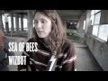 Sea Of Bees - Wizbot (The Old Vinyl Factory ...