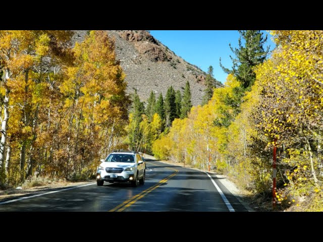 Video Pronunciation of fall foliage in English Video Pronunciation of fall foliage in English