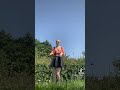 It S Too Hot For Scotland Tiktok Fypシ Fy Summer Scotland