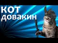 КОТ ДОВАКИН | СУПЕР РЕАКЦИЯ КОТА 