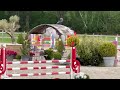 8 ANS MAGNIFIQUE 1,76M BRAVE  A L EXTREME