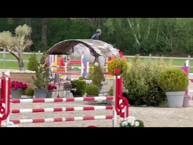8 ANS MAGNIFIQUE 1,76M BRAVE  A L EXTREME