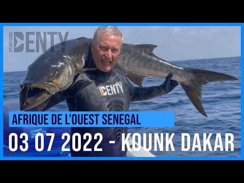 Barracuda géant attack en Chasse sous-marine Dakar 2022