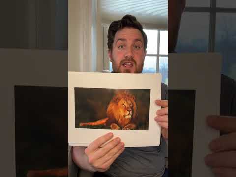 How to Show Your Child Doman Cards with Spencer Doman