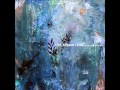 Streamside - The Album Leaf