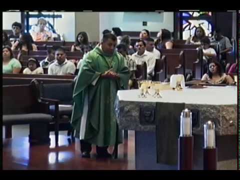 Decimo noveno domingo del tiempo ordinario 08/10/2014