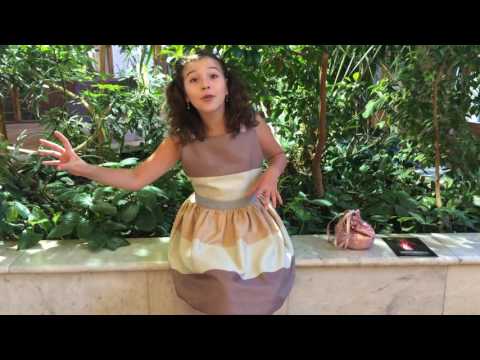 Владислав Ходасевич "Люблю людей, люблю природу..."