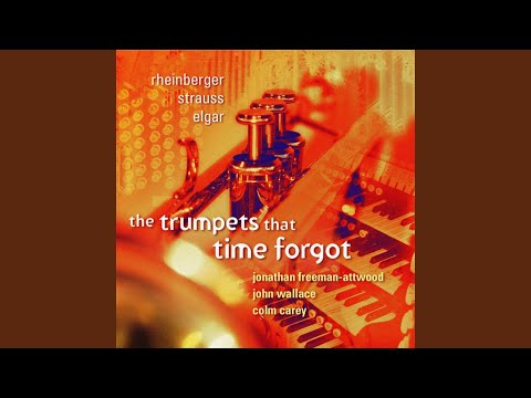 Sonata No. 2, Op. 87a: II. Toccata