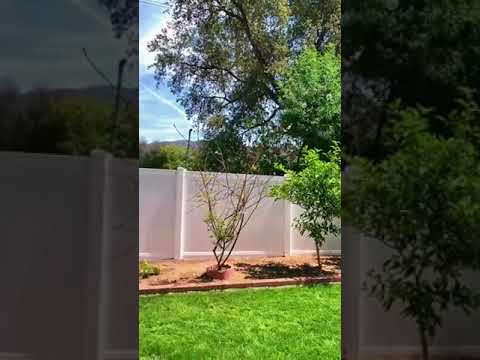 Unique Backyard Wedding Decor Ideas 😍/#shorts #short #weddingbells /Wedding bells