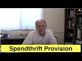 Spendthrift Provision