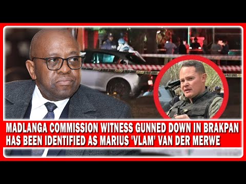 Witness D Evidence To Madlanga Commission “Tragically Shot Dead In Front Of Family”