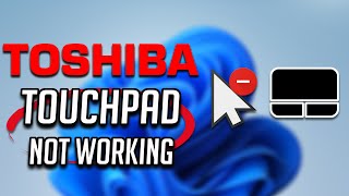Toshiba Touchpad Not Working in Windows 11 - [2024 Tutorial]