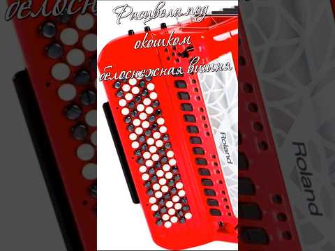 🎵 «Расцвела под окошком белоснежная вишня» -1