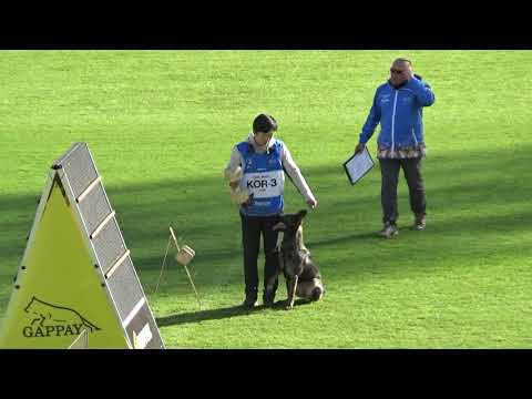 2019 WUSV IGP WM in Modena 82 KOR‐3 YOON JINSEOK  FRONI F B87