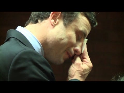 Pistorius' Anwalt plädiert auf Freispruch