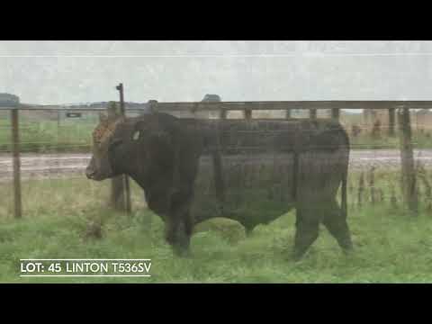 Lot 45 LINTON T536SV