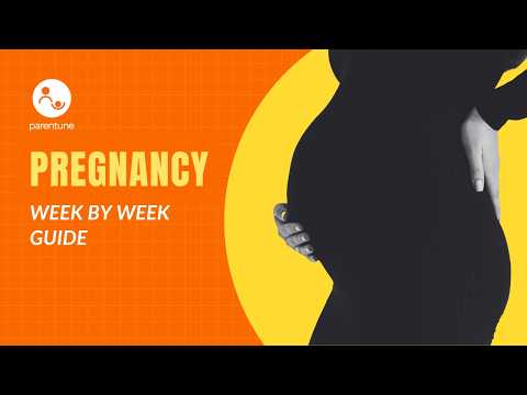 Pregnancy Week by Week: Your Complete 40-Week Guide
