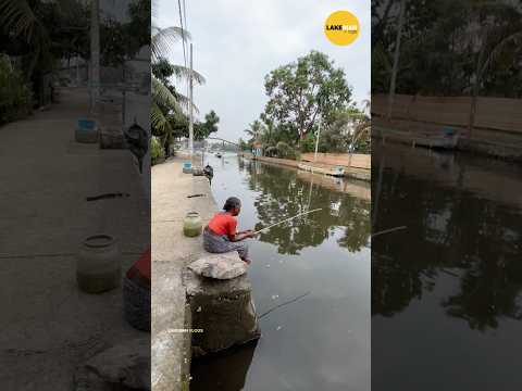 അമ്മച്ചി പുലിയാണ് 🎣🐠😍 #fishing #fishingvideo #fishinglife #shortsfeed #shortsviral #shorts